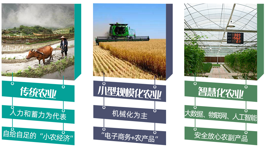 农业生长三阶段.jpg